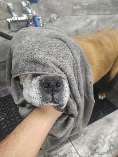 Pet Supply Store «Pet Supermarket», reviews and photos, 6307 N 9th Ave #1, Pensacola, FL 32504, USA