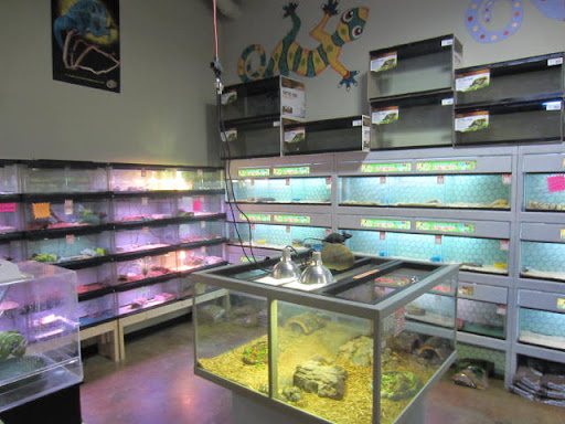 Pet Store «Incredible Pets Inc», reviews and photos, 2255 N Wickham Rd # 102, Melbourne, FL 32935, USA