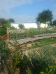 Association des Jardins Familiaux d'Angers Beauséjour Saint-Barthélemy-d'Anjou