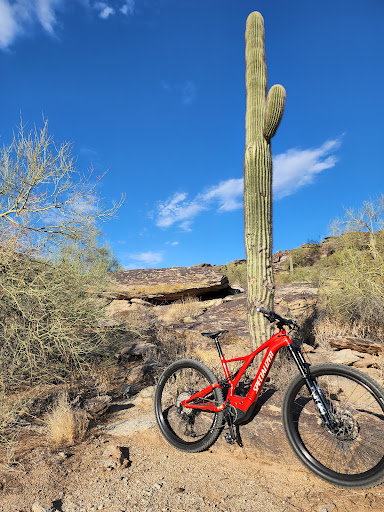 Bicycle Store «Bike Masters Mesa Bike Shop», reviews and photos, 1545 S Power Rd #104, Mesa, AZ 85209, USA
