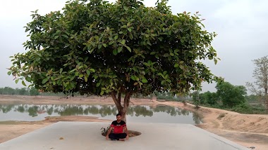पंडरी तालाब