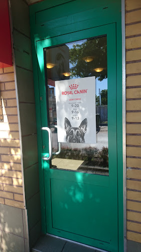 Gabinet weterynaryjny | Piaseczno-Vet - Piaseczno