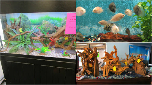 world wide aquarium & pets