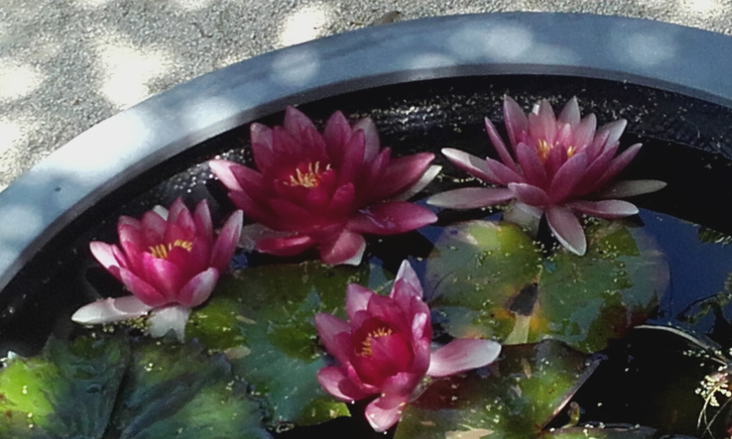 Photo n° 2 de l'avis de Krystel.a fait le 02/08/2017 à 20:25