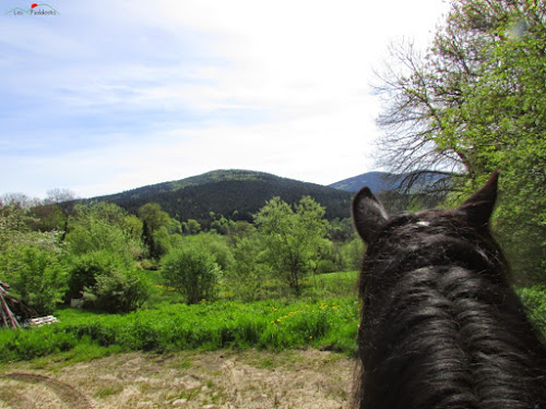 Les Paddocks à Vollore-Montagne