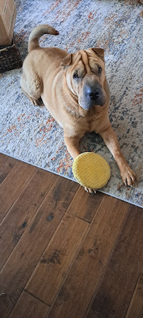 Chuck & Don's Pet Food & Supplies - Photo 8 - Car repair in Wichita, KS, Wichita