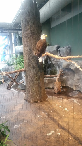 Aquarium «South Carolina Aquarium», reviews and photos, 100 Aquarium Wharf, Charleston, SC 29401, USA