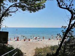 Foto di Nazarova dacha beach con costa lunga e dritta