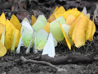 MQWG+7P, Chino 16310