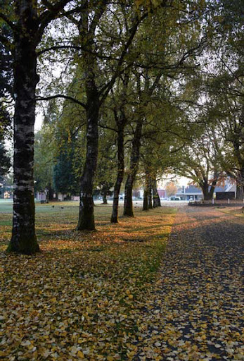 Funeral Home «Mills & Mills Funeral Home», reviews and photos, 5725 Littlerock Rd SW, Tumwater, WA 98512, USA