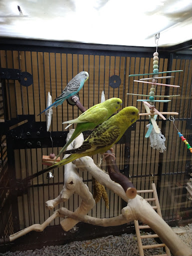 Pet Supply Store «PetSmart», reviews and photos, 745 W Huntington Dr, Monrovia, CA 91016, USA