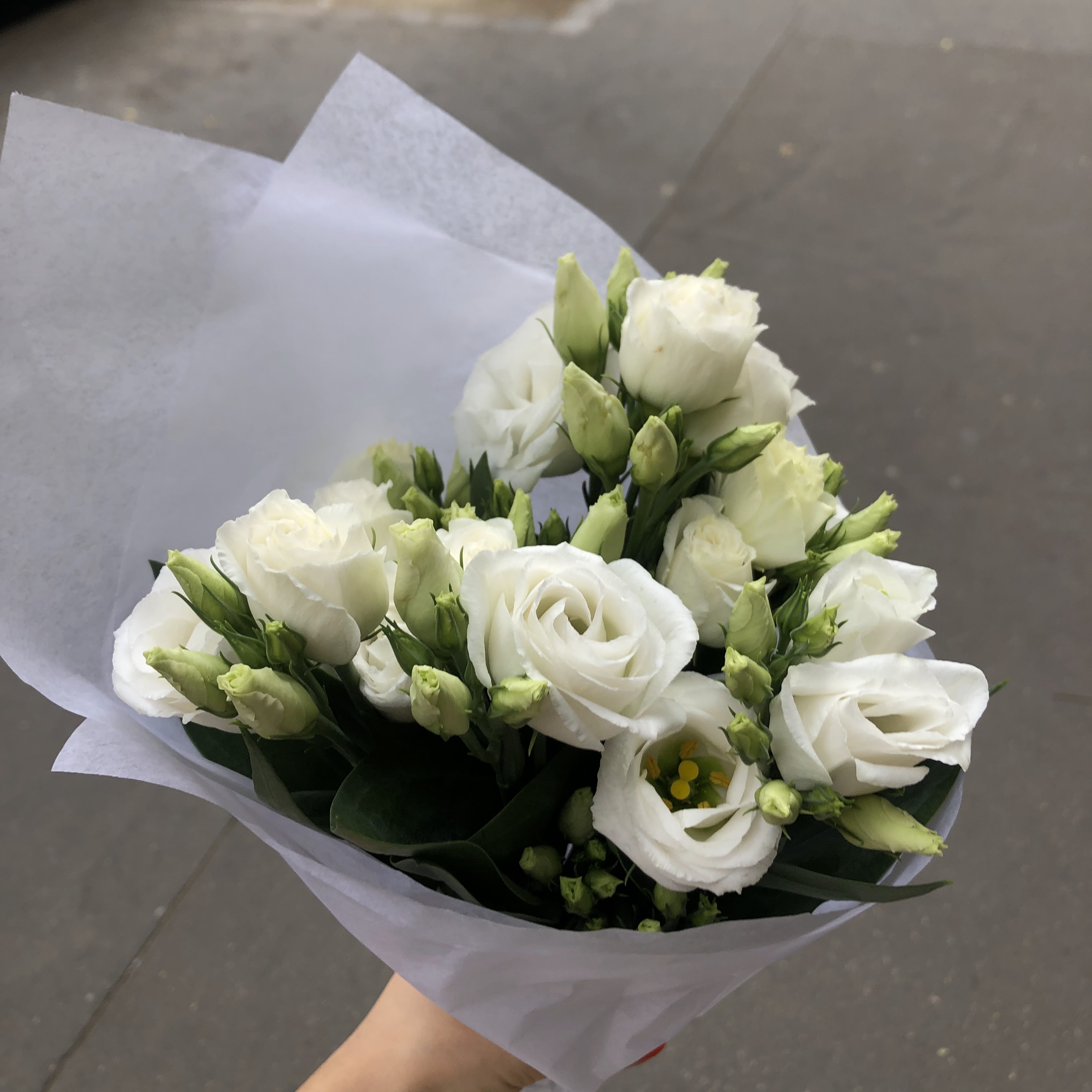 Photo n° 2 de l'avis de Jenny. fait le 12/09/2019 à 20:49