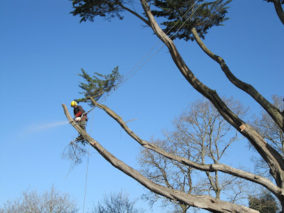 Qualiarbre Le réseau des arboristes élagueurs certifiés