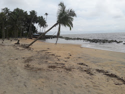 Photo de Puthiya Beach et le règlement