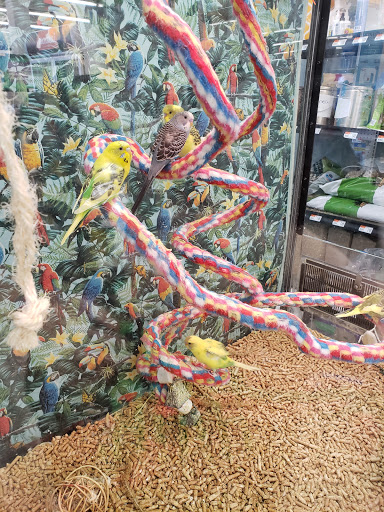Pet Supply Store «Pet Supplies Plus», reviews and photos, 283 Middle Turnpike W, Manchester, CT 06040, USA