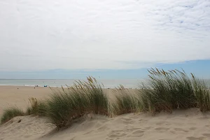 Strand maasvlakte image