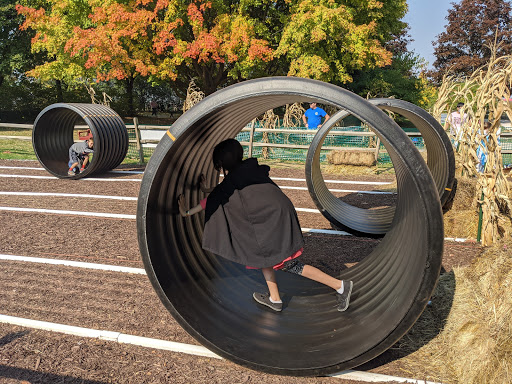 Farm «Abbey Farms», reviews and photos, 2855 Hart Rd, Aurora, IL 60502, USA