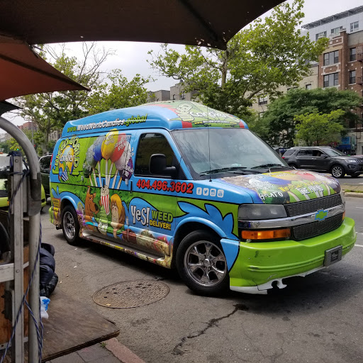 Pet Store «Petland Discounts - Fordham», reviews and photos, 150 E 188th St, Bronx, NY 10468, USA