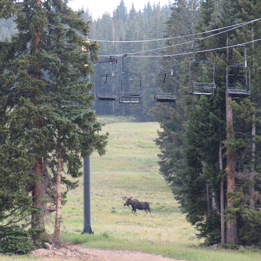 Ski Resort «Ski Cooper», reviews and photos, 232 County Road 29, Leadville, CO 80461, USA