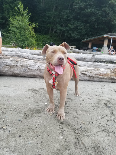 Park «Seahurst Park», reviews and photos, 1600 SW Seahurst Park Rd, Burien, WA 98166, USA