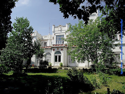 Bagolyvár, Czitkovits-Ambrózy-Sövegjártó-Sarlay kastély