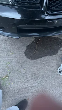 Accurate Japanese Repair photo