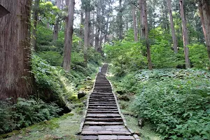 Mt. Haguro's cedar avenue image