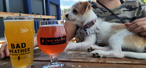 Winery «Saint Croix Vineyards», reviews and photos, 6428 Manning Ave N, Stillwater, MN 55082, USA