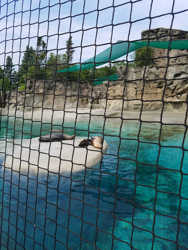 Zoo «Fragile Desert», reviews and photos, 3300 Golf Rd, Brookfield, IL 60513, USA