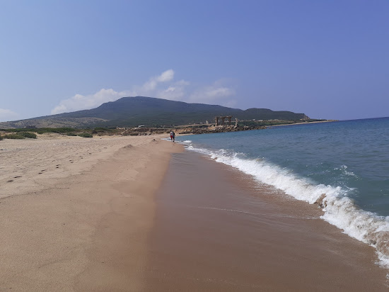 Plage Sidi Mechreg