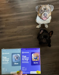 PetFriendly - Photo 1 - Car repair in Omaha, NE, Omaha