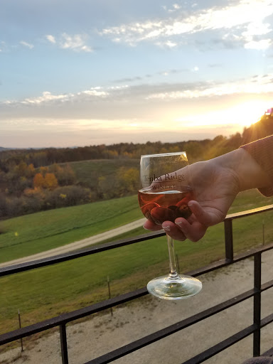 Winery «Tenba Ridge Winery», reviews and photos, N27587 Joe Coulee Rd, Blair, WI 54616, USA