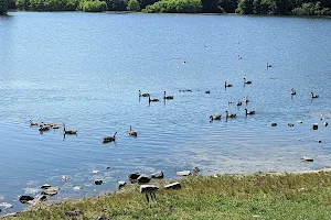 Lake Fairfax Park image