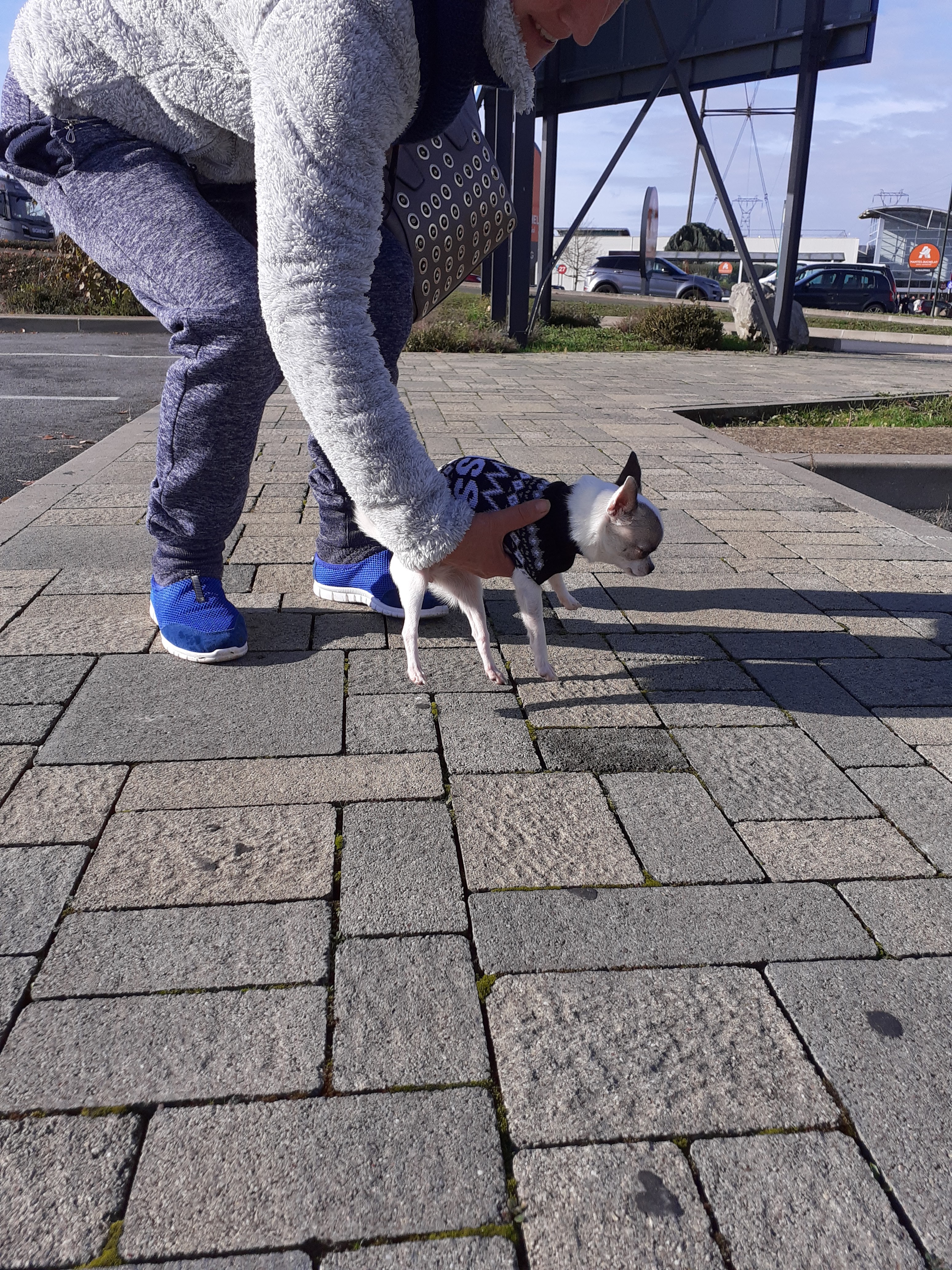 Photo n° 2 de l'avis de THE.U fait le 19/11/2019 à 14:12