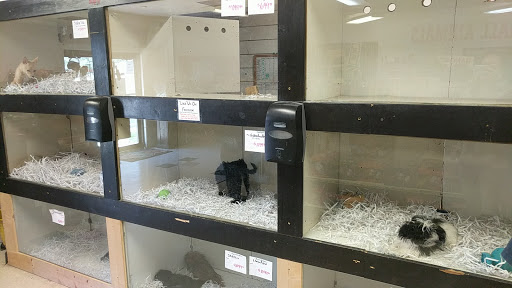 Pet Store «Pet Planet», reviews and photos, 11968 S Redwood Rd, Riverton, UT 84065, USA