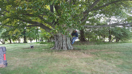 Golf Club «Applebrook Golf Club», reviews and photos, 100 Line Rd, Malvern, PA 19355, USA