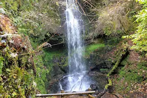 Craigie Linn (Waterfall) image