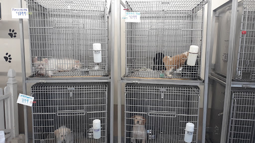 Pet Store «Southside Pet Shop», reviews and photos, 7031 Southside Dr, Louisville, KY 40214, USA