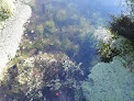 Bonatre Frères SA Courcelles-lès-Gisors