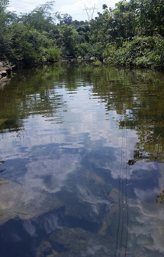 Golf Course «The Legacy Golf Course», reviews and photos, 100 Ray Floyd Dr, Springfield, TN 37172, USA