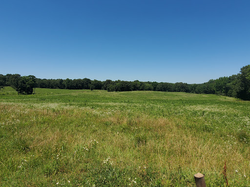Nature Preserve «Elk and Bison Prairie», reviews and photos, Elk & Bison Prairie Rd, Golden Pond, KY 42211, USA