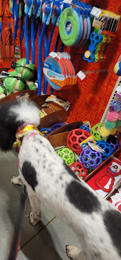 Pet Supply Store «PetSmart», reviews and photos, 139 Rolling Hills Cir, Easley, SC 29640, USA