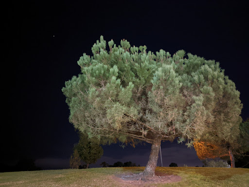 Park «University Community Park», reviews and photos, 1 Beech Tree Ln, Irvine, CA 92612, USA