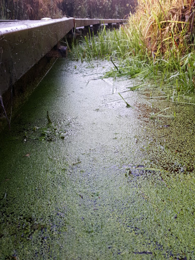 Park «N. Creek Park», reviews and photos, 1011 183rd St SE, Bothell, WA 98012, USA