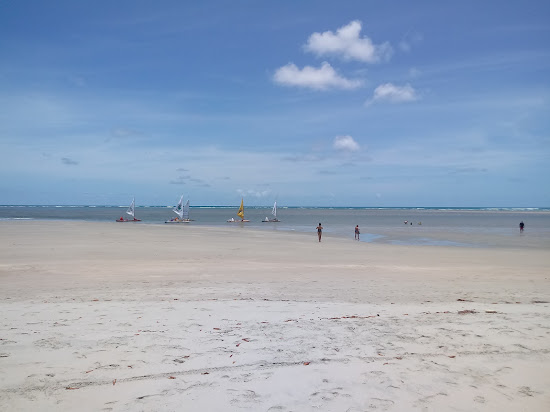 Playa De Vista De Caballito De Mar
