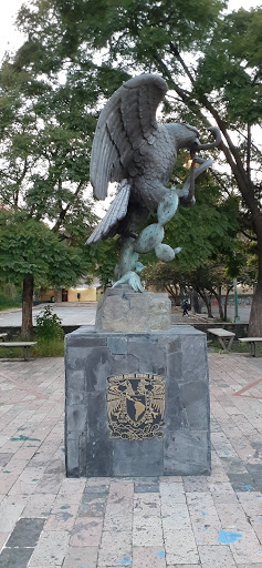 Biblioteca de derecho Chimalhuacán