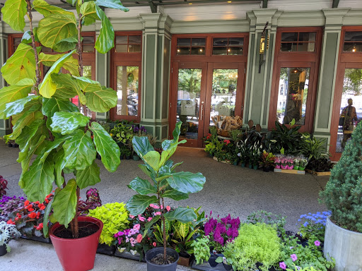 Florist «Fern by Boston Rose Florist», reviews and photos, 225 Massachusetts Ave, Boston, MA 02115, USA