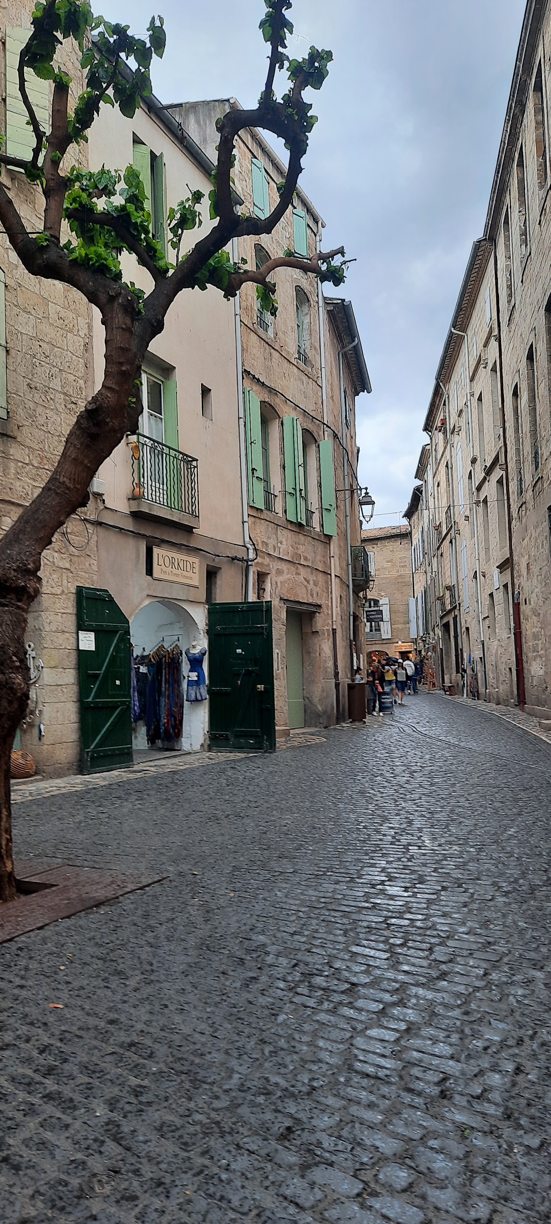 Photo n° 6 de l'avis de Françoise.a fait le 20/05/2023 à 18:58