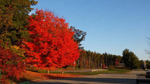 Park «NARA Park», reviews and photos, 25 Ledge Rock Way, Acton, MA 01720, USA
