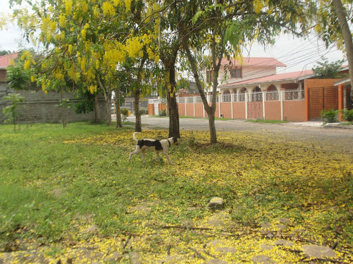 Parque Memorial del Rodomiro Feliz